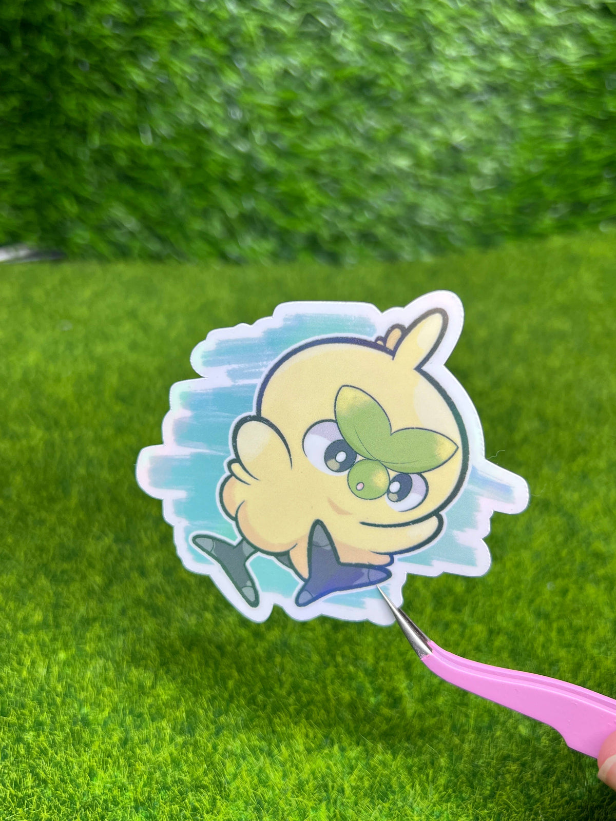 Img